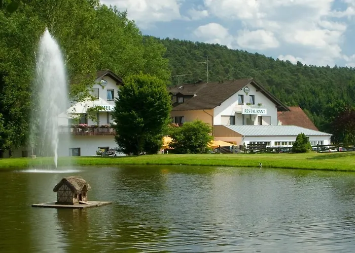 Hotel Pappelhof Weidenbach  photo