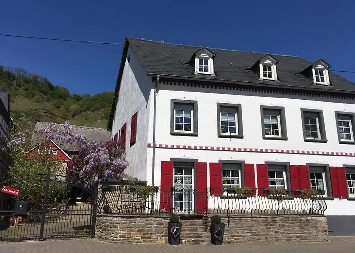 Alter Winzerhof Villa Hatzenport photo