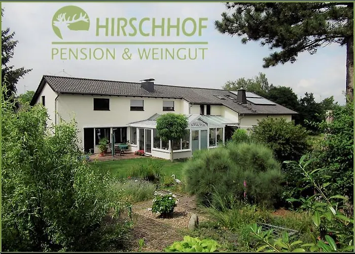 Pension Und Weingut Hirschhof Offenheim photo