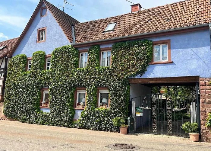Schoenbachhof Silz  photo
