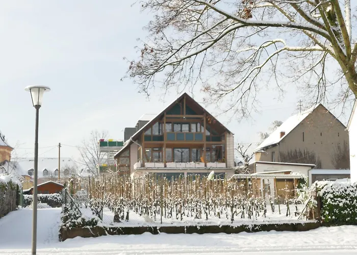 Apartamento Angelica Trittenheim foto