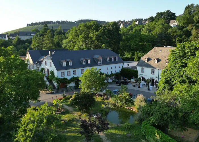 Hotel Und Weingut Karlsmuehle Mertesdorf photo