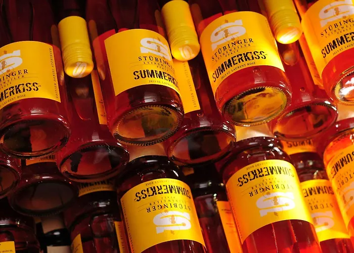 Ferienweingut Peter Stuebinger Villa Leinsweiler photo