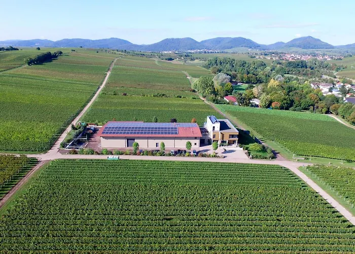 Photo de Voegelis Weinnest Landau in der Pfalz