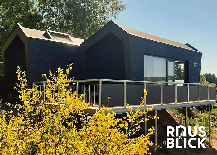 Rausblick Cabin Bruchweiler-Bärenbach照片