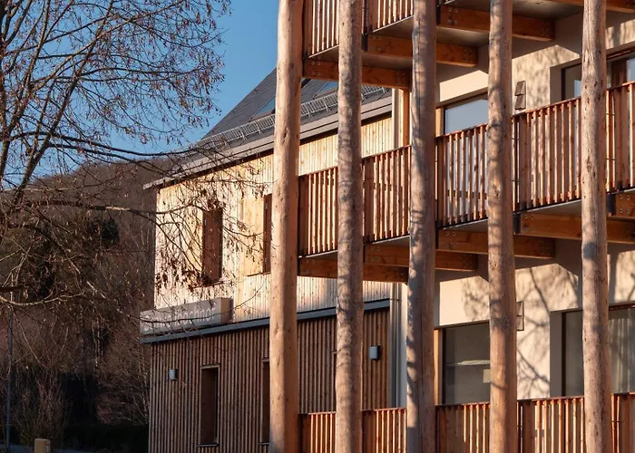 Schwollbachhof - Naturerlebnis Im Hunsrueck Schwollen照片