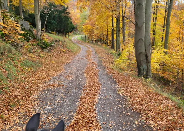Ah Helledahls Appartement Weyer  foto