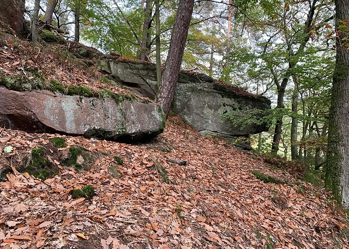 Weinquartier Minges Otel Kirrweiler  fotoğrafı