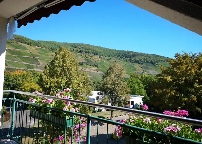 Appart-Pension-Schier Zell an der Mosel fotoğrafı