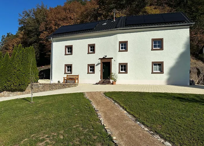 southEiFEL-greenCASA - Sauna-Wald-Auszeit Zweifelscheid Foto