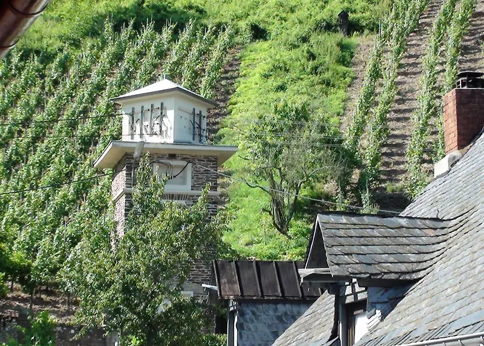 Albergo Pensione Alf photo