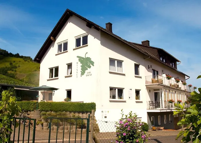 Weingut-Brennerei-Gaestehaus Emil Dauns Reil photo