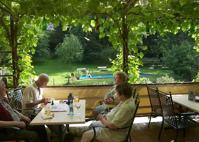 Hotel Dampfmuehle Enkirch photo