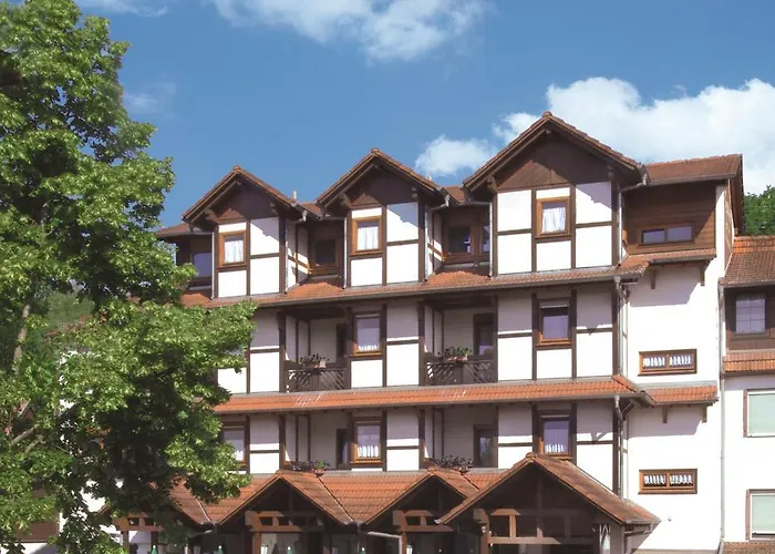 Blick Zum Maimont Hotel Ludwigswinkel photo