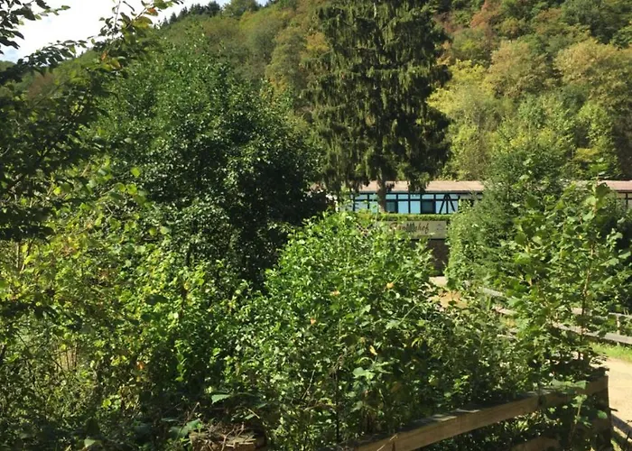 Hotel Restaurant Tannenhof Ahrbruck photo