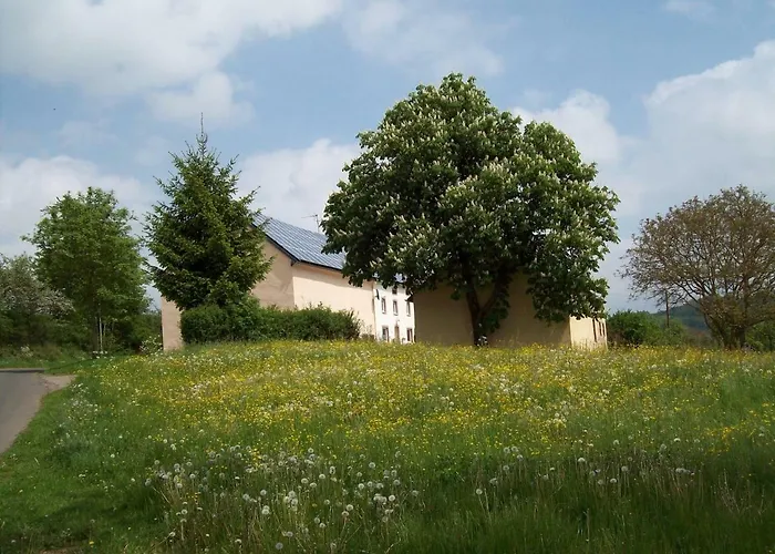 Ferienhaus-Feinen Villa Lierfeld photo
