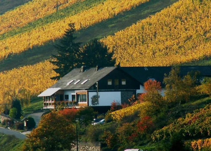 Weingut & Gastehaus Sonnenhof Hotel Oberheimbach photo